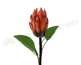 F0302 Artificial Protea Native Flowers Orange Protea Stem 65cm | ARTISTIC GREENERY