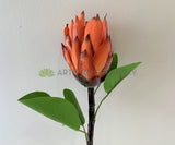 F0302 Artificial Protea Native Flowers Orange Protea Stem 65cm | ARTISTIC GREENERY