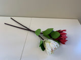 F0302 Protea Stem 65cm Red / White