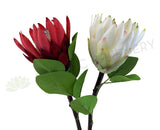 F0302 Protea Stem 65cm Red / White | ARTISTIC GREENERY