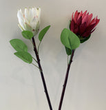 F0302 Protea Stem 65cm Red / White | ARTISTIC GREENERY