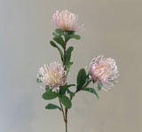 F0308 Plastic Protea Pincushion Spray 83cm Light Pink | ARTISTIC GREENERY