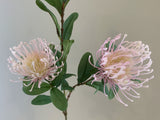 F0308 Plastic Protea Pincushion Spray 83cm Light Pink | ARTISTIC GREENERY