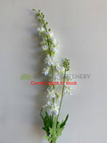 F0317 Delphinium / Stock Flower Stem 86cm White / Orange