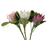 F0320 Silk King Protea Single Stem 65cm 3 Colours | ARTISTIC GREENERY