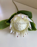 White - F0320 Silk King Protea Single Stem 65cm 3 Colours | ARTISTIC GREENERY