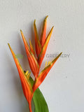 Orange - F0325 Faux Heliconia Single Stem 107cm Red / Orange (Tropical Flowers) | ARTISTIC GREENERY