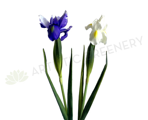 F0326 Artificial Dutch Iris Stem 60cm Purple / White | ARTISTIC GREENERY