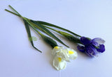 F0326 Artificial Dutch Iris Stem 60cm Purple / White | ARTISTIC GREENERY