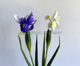 F0326 Artificial Dutch Iris Stem 60cm Purple / White | ARTISTIC GREENERY