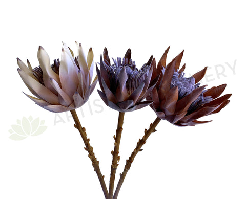 F0333 Artificial King Protea (Dried Style) 2 Sizes Cream / Brown | ARTISTIC GREENERY