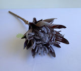 Small Brown - F0333 Artificial King Protea (Dried Style) 2 Sizes Cream / Brown | ARTISTIC GREENERY