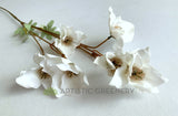 F0346 Silk Hellebore Spray 79cm White | ARTISTIC GREENERY