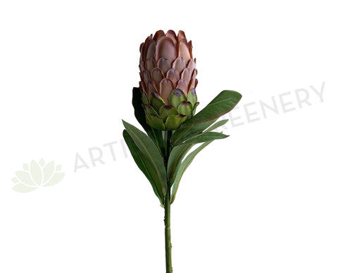 F0349 Artificial Protea Neriifolia Single Stem 74cm Light Brown silk native flowers OZ Australia Perth WA | ARTISTIC GREENERY