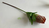 F0349 Artificial Protea Neriifolia Single Stem 74cm Light Brown silk native flowers OZ Australia Perth WA | ARTISTIC GREENERY