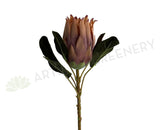 F0350 Silk King Protea 55cm Light Brown | ARTISTIC GREENERY