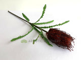 F0352 Artificial Banksia Stem 72cm Dark Red | ARTISTIC GREENERY