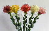 F0360 Artificial Pincushion Protea with Leaves / Leucospermum 61cm 5 Colours | ARTISTIC GREENERY