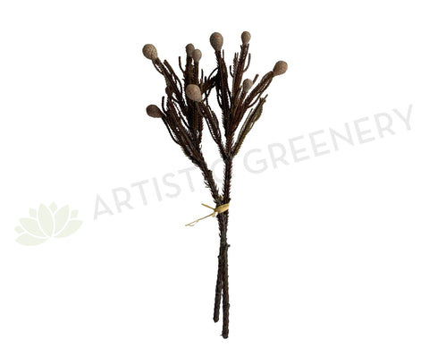 F0364 Artificial Brunia Stem 42cm Brown | ARTISTIC GREENERY