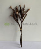 F0364 Artificial Brunia Stem 42cm Brown | ARTISTIC GREENERY