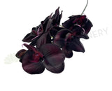 F0381 Faux Dark Purple Orchid Spray 67cm | ARTISTIC GREEENERY