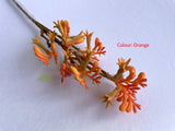 Orange - F0409 Synthetic Kangaroo Paw Spray 61cm 4 Colours | ARTISTIC GREENERY