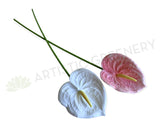 F0414 Artificial White Anthurium / Flamingo Flower 60cm White / Pink | ARTISTIC GREENERY WA Australia
