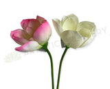 F0415 Artificial Lotus Flower (Nelumbo Nucifera) 90cm Pink / White | ARTISTIC GREENERY