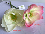 F0415 Artificial Lotus Flower (Nelumbo Nucifera) 90cm Pink / White | ARTISTIC GREENERY