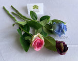 F0417 Silk Single Rose Stem 39cm Blue / Pink / Purple (SPECIAL) | ARTISTIC GREENERY