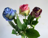 F0417 Silk Single Rose Stem 39cm Blue / Pink / Purple (SPECIAL) | ARTISTIC GREENERY