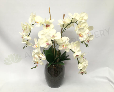 FA1035 - Orchid Arrangement (70cm Height)