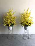 FA1078 - Dancing-Lady Orchid Arrangement (100cm Height) Yellow