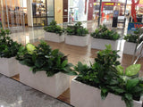 Gloria Jeans Cafe - Mixed Styles Artificial Plants for Planters