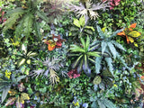 For Hire - Free Standing Vertical Garden / Greenery Wall 210 x 210cm