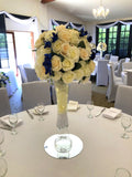 HI0006 White and galaxy blue centrepiece for wedding $75 hire fee