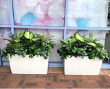 Style A shorter plants $90 hire fee