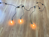 For Hire - Festoon Lights 4.5meters 9 Globes Perth Hire (Code: HI0026)) | ARTISTIC GREENERY