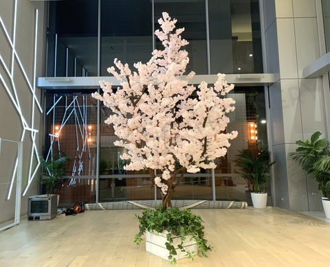 For Hire - Light Pink Blossom Tree 480cm (Code: HI0040-480) Blossom Tree Hire for Event and Party WA Perth | ARTISTIC GREENERY