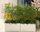 For Hire - Artificial Bamboo Plants in Planter Box (Code: HI0041)