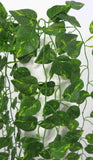 HP0003 Hanging Pothos 90cm Silk