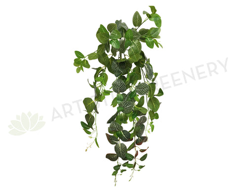 HP0034 Artificial Hanging Nerve Plant (White Veins) / Fittonia 80cm Real Touch | ARTISTIC GREENERY
