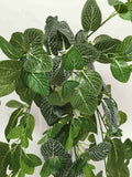 HP0034 Artificial Hanging Nerve Plant (White Veins) / Fittonia 80cm Real Touch | ARTISTIC GREENERY