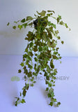 HP0044A Artificial Trailing Ivy (Autumn Style) 85cm | ARTISTIC GREENERY