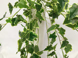 HP0044 Trailing Variegated Ivy 75cm Real Touch