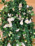 Light Pink - HP0071 Trailing Camellia Bunch 180cm | ARTISTIC GREENERY