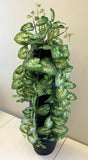 HP0072 Style A: Hanging Caladium Plant 85cm - $30 each | ARTISTIC GREENERY