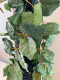 HP0072 Style C: Hanging Green Vine Plant 75cm - $30 each | ARTISTIC GREENERY