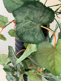 HP0072 Style C: Hanging Green Vine Plant 75cm - $30 each | ARTISTIC GREENERY