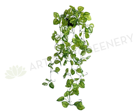 HP0081 Imitation Hanging Watermelon Peperomia 100cm | ARTISTIC GREENERY